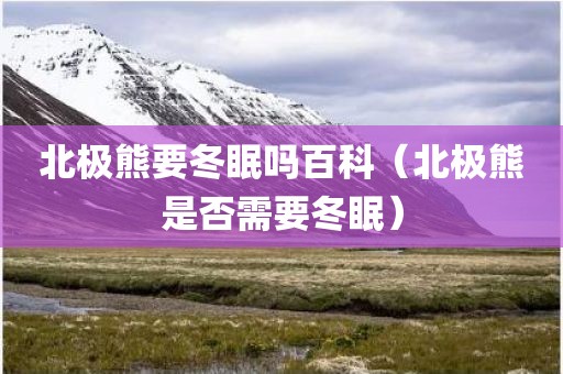 北极熊要冬眠吗百科（北极熊是否需要冬眠）