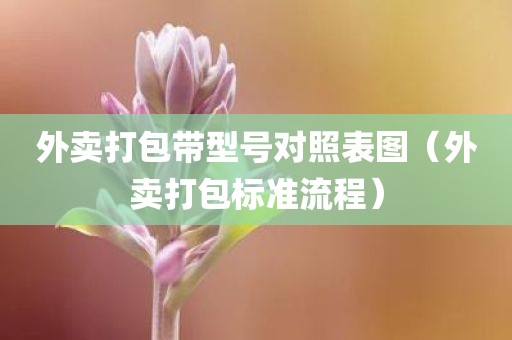 外卖打包带型号对照表图（外卖打包标准流程）