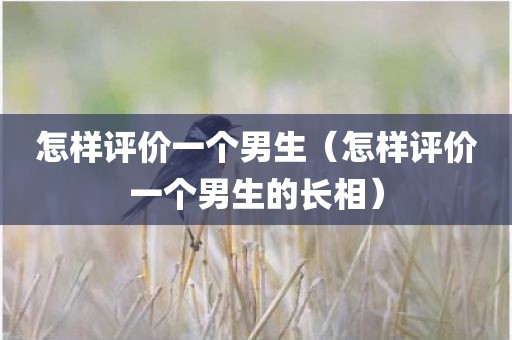 怎样评价一个男生（怎样评价一个男生的长相）