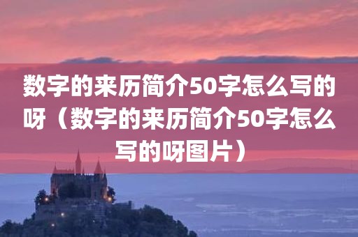 数字的来历简介50字怎么写的呀（数字的来历简介50字怎么写的呀图片）