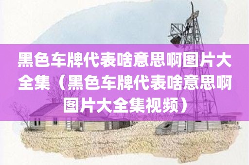 黑色车牌代表啥意思啊图片大全集（黑色车牌代表啥意思啊图片大全集视频）
