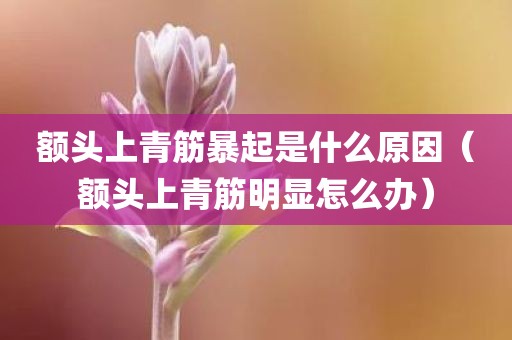 额头上青筋暴起是什么原因（额头上青筋明显怎么办）