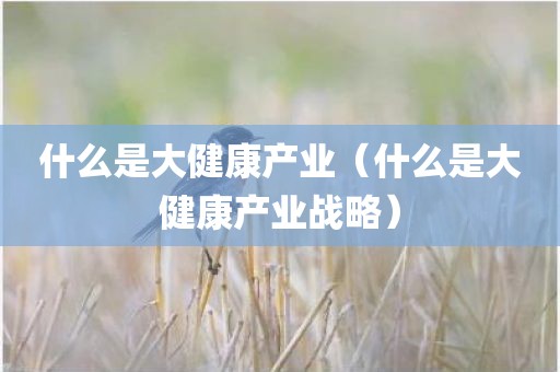 什么是大健康产业（什么是大健康产业战略）