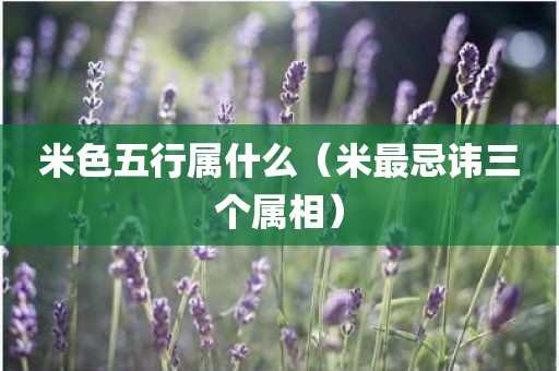 米色五行属什么(米最忌讳三个属相)