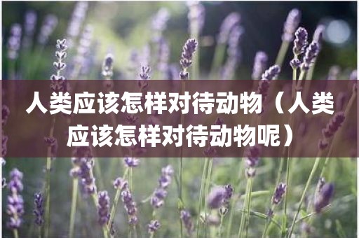 人类应该怎样对待动物（人类应该怎样对待动物呢）