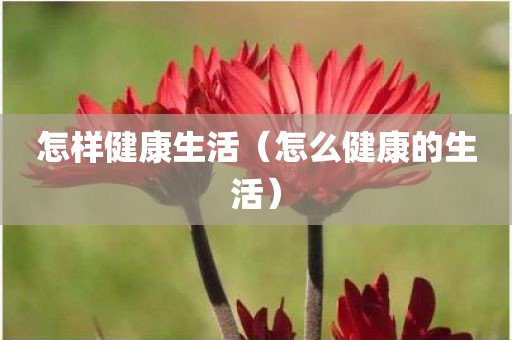 怎样健康生活（怎么健康的生活）