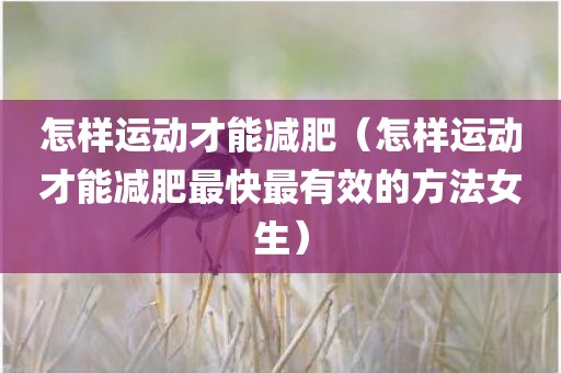 怎样运动才能减肥（怎样运动才能减肥最快最有效的方法女生）