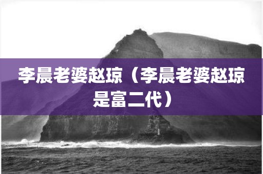 李晨老婆赵琼（李晨老婆赵琼是富二代）