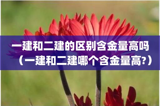 一建和二建的区别含金量高吗（一建和二建哪个含金量高?）