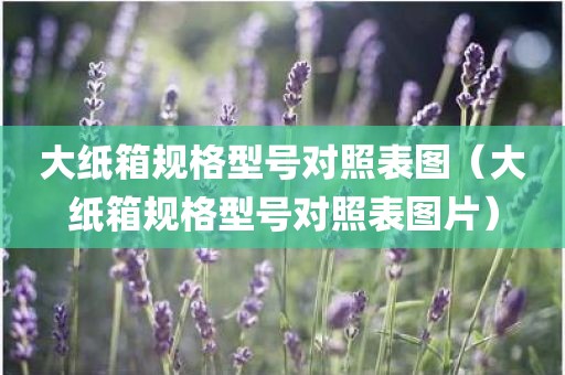 大纸箱规格型号对照表图（大纸箱规格型号对照表图片）