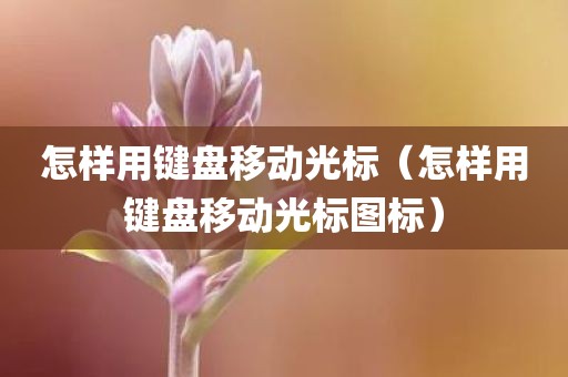 怎样用键盘移动光标（怎样用键盘移动光标图标）