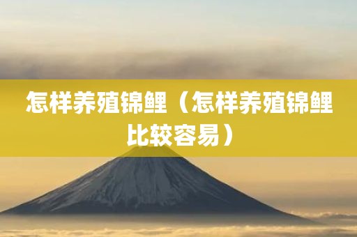 怎样养殖锦鲤（怎样养殖锦鲤比较容易）