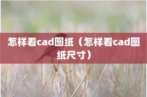 怎样看cad图纸（怎样看cad图纸尺寸）