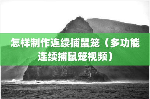 怎样制作连续捕鼠笼（多功能连续捕鼠笼视频）