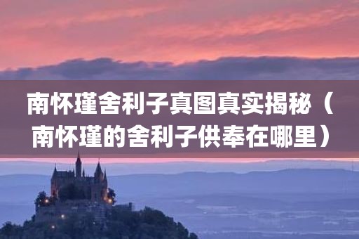 南怀瑾舍利子真图真实揭秘（南怀瑾的舍利子供奉在哪里）