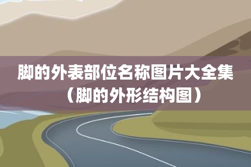 脚的外表部位名称图片大全集（脚的外形结构图）