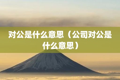 对公是什么意思（公司对公是什么意思）