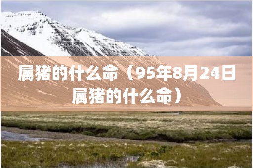 属猪的什么命（95年8月24日属猪的什么命）