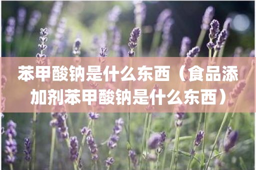 苯甲酸钠是什么东西（食品添加剂苯甲酸钠是什么东西）