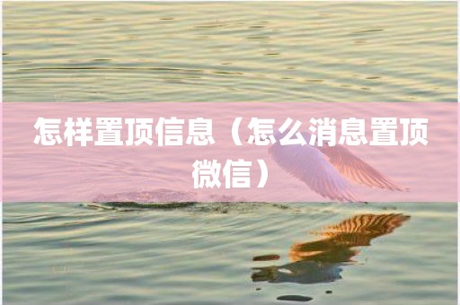 怎样置顶信息（怎么消息置顶微信）
