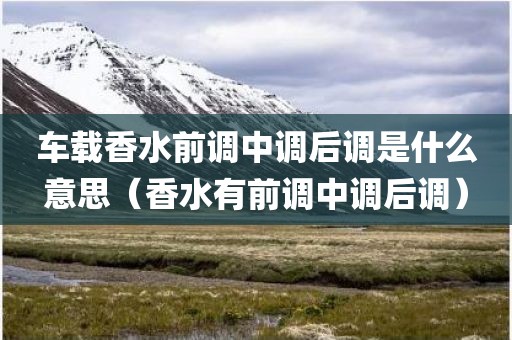 车载香水前调中调后调是什么意思(香水有前调中调后调) 车载香水前调中调后调是什么意思(香水有前调中调后调)