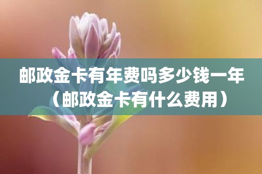 邮政金卡有年费吗多少钱一年(邮政金卡有什么费用)