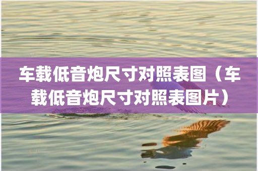 车载低音炮尺寸对照表图（车载低音炮尺寸对照表图片）