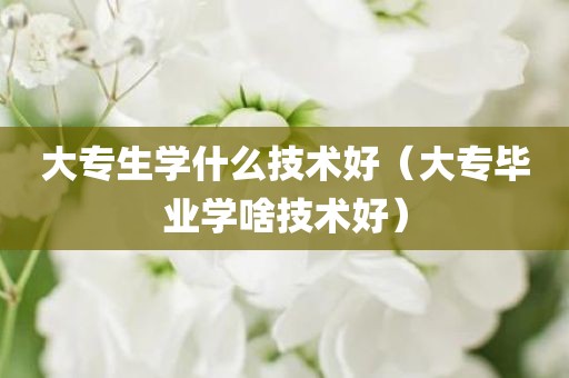 大专生学什么技术好（大专毕业学啥技术好）