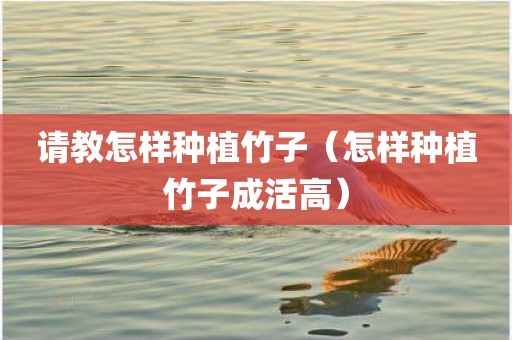 请教怎样种植竹子（怎样种植竹子成活高）