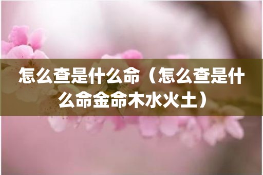 怎么查是什么命（怎么查是什么命金命木水火土）