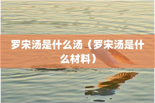罗宋汤是什么汤（罗宋汤是什么材料）