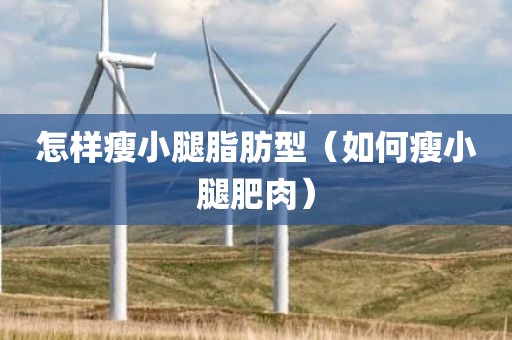 怎样瘦小腿脂肪型（如何瘦小腿肥肉）