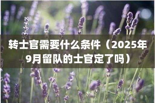 转士官需要什么条件(2025年9月留队的士官定了吗)