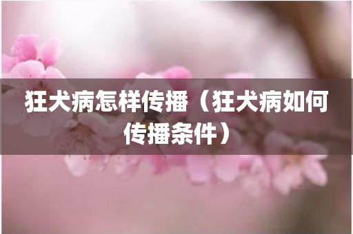 狂犬病怎样传播（狂犬病如何传播条件）