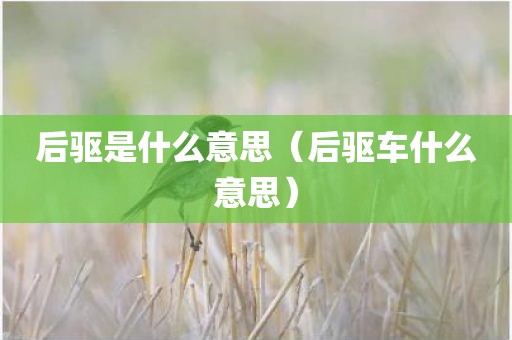 后驱是什么意思（后驱车什么意思）