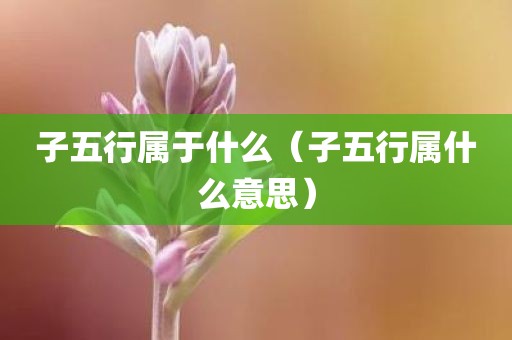 子五行属于什么（子五行属什么意思）