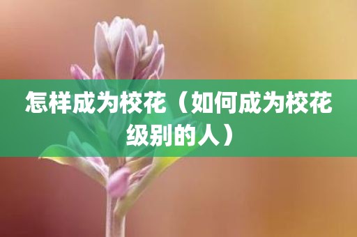 怎样成为校花（如何成为校花级别的人）