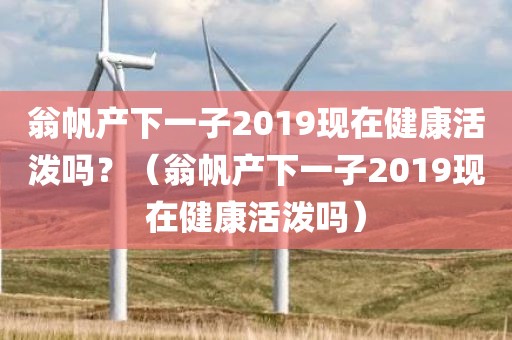 翁帆产下一子2019现在健康活泼吗？（翁帆产下一子2019现在健康活泼吗）