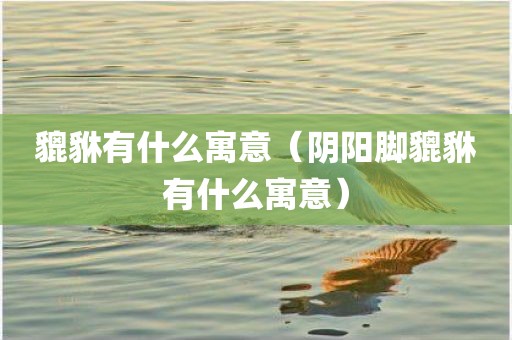 貔貅有什么寓意（阴阳脚貔貅有什么寓意）