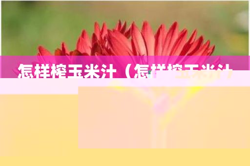 怎样榨玉米汁（怎样榨玉米汁玉米汁）