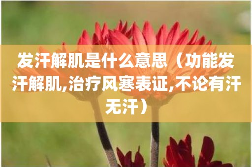 发汗解肌是什么意思（功能发汗解肌,治疗风寒表证,不论有汗无汗）