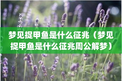 梦见捉甲鱼是什么征兆（梦见捉甲鱼是什么征兆周公解梦）