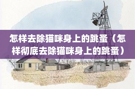 怎样去除猫咪身上的跳蚤（怎样彻底去除猫咪身上的跳蚤）