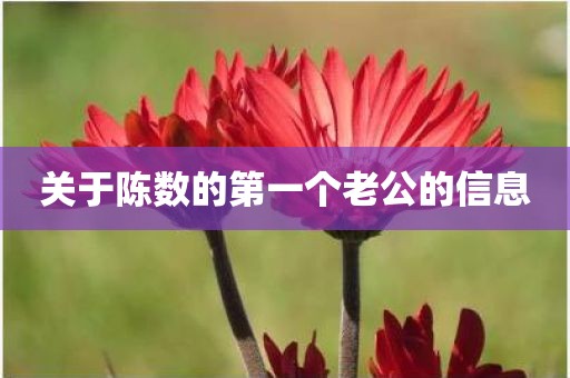 关于陈数的第一个老公的信息