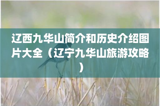 辽西九华山简介和历史介绍图片大全（辽宁九华山旅游攻略）
