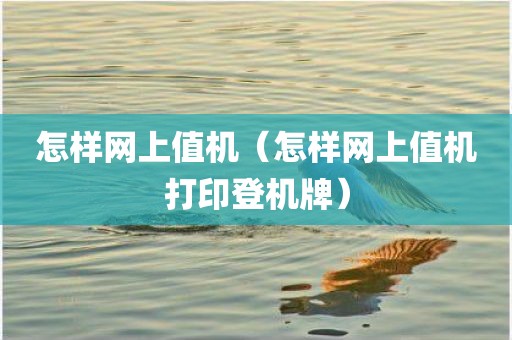 怎样网上值机（怎样网上值机打印登机牌）