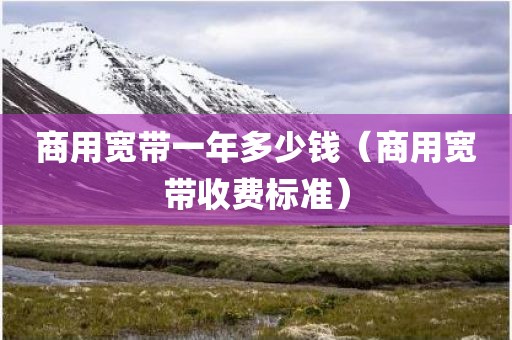 商用宽带一年多少钱（商用宽带收费标准）