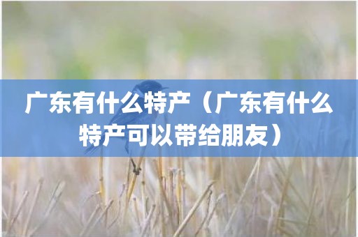 广东有什么特产(广东有什么特产可以带给朋友)