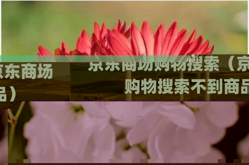 京东商场购物搜索（京东商场购物搜索不到商品）
