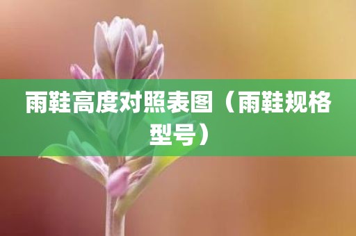 雨鞋高度对照表图（雨鞋规格型号）